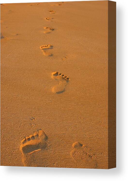 Footprint Canvas Print featuring the photograph Footprints in the Sand by Andreas Thust