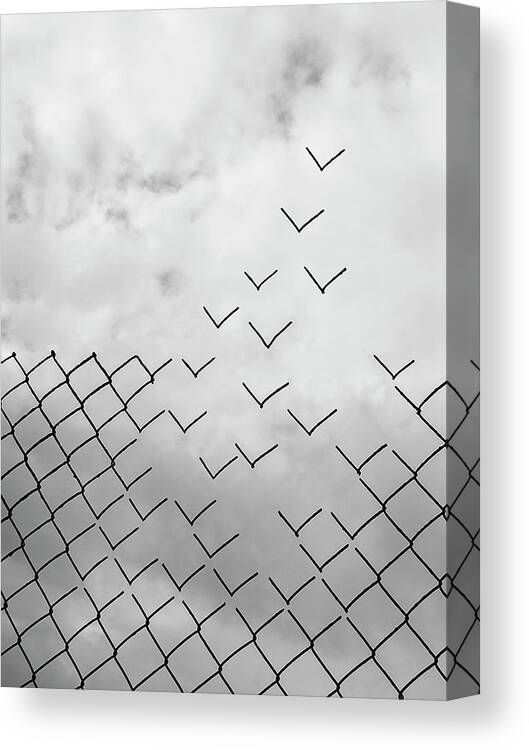 Conceptual Canvas Print featuring the photograph Freedom by Daniel Alonso