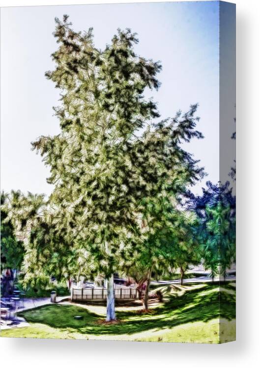 Freedom Canvas Print featuring the digital art Freedom Tree by Photographic Art by Russel Ray Photos