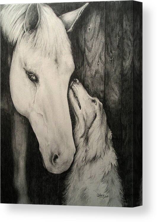 Horse Canvas Print featuring the drawing Friends by Catherine Howley