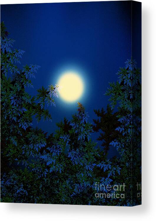 Full Moon Canvas Print featuring the digital art Full Moon by Klara Acel