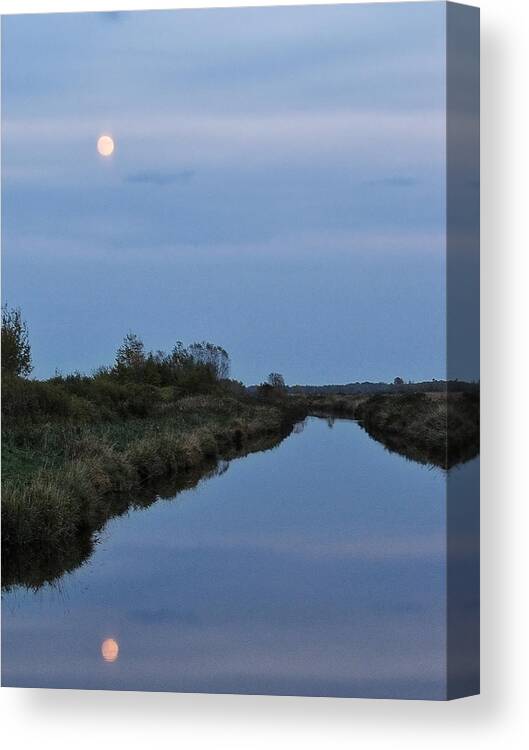 Mead Canvas Print featuring the photograph Full Moon Rising Over The Marsh by Dale Kauzlaric
