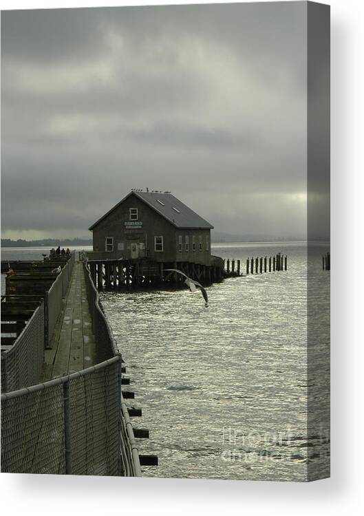 Nature Canvas Print featuring the photograph Garibaldi Pier 2 by Gallery Of Hope 