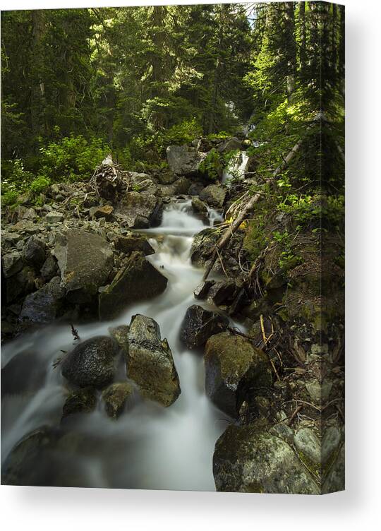 Scenic Canvas Print featuring the photograph Garibaldi Water by Aaron Bedell