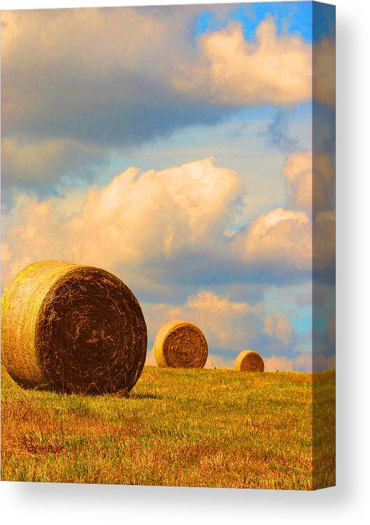  Round Bales Canvas Print featuring the photograph Going Going Gone by Susan Duda