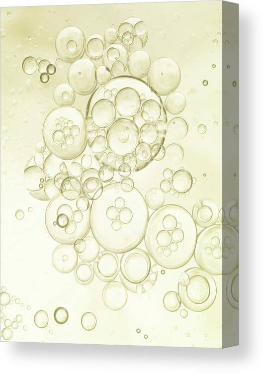 Purity Canvas Print featuring the photograph Gold Bubbles Of Oil And Water by Level1studio