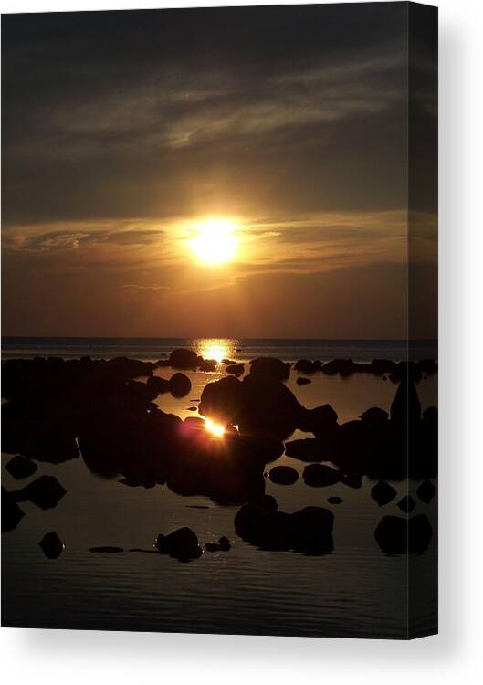 Nature Canvas Print featuring the photograph Golden Dusk by Michelle Miron-Rebbe