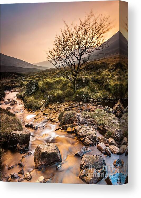 Afternoon Canvas Print featuring the photograph Golden Light River by Maciej Markiewicz