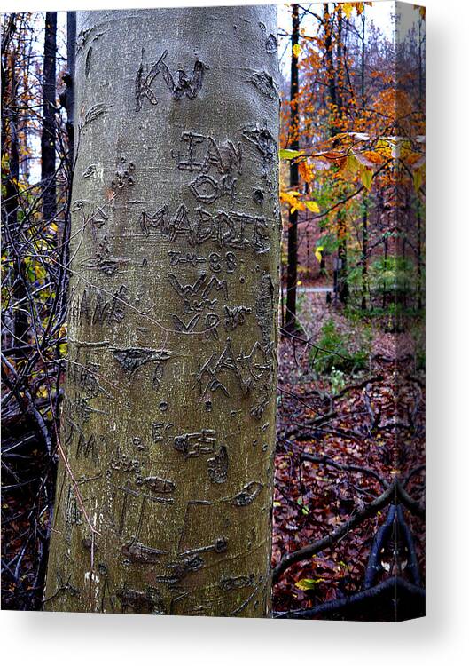 Richard Reeve Canvas Print featuring the photograph Graffitree by Richard Reeve