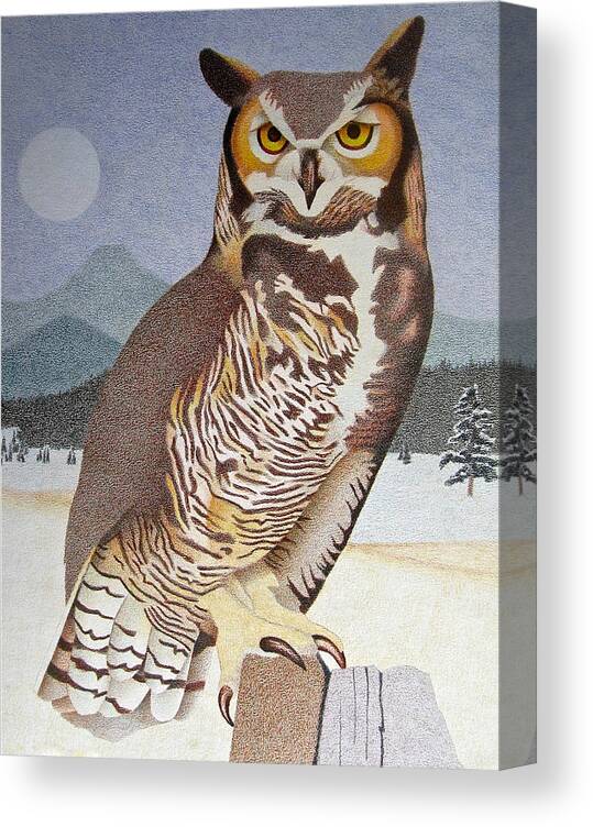 Art Canvas Print featuring the drawing Great Horned Owl by Dan Miller