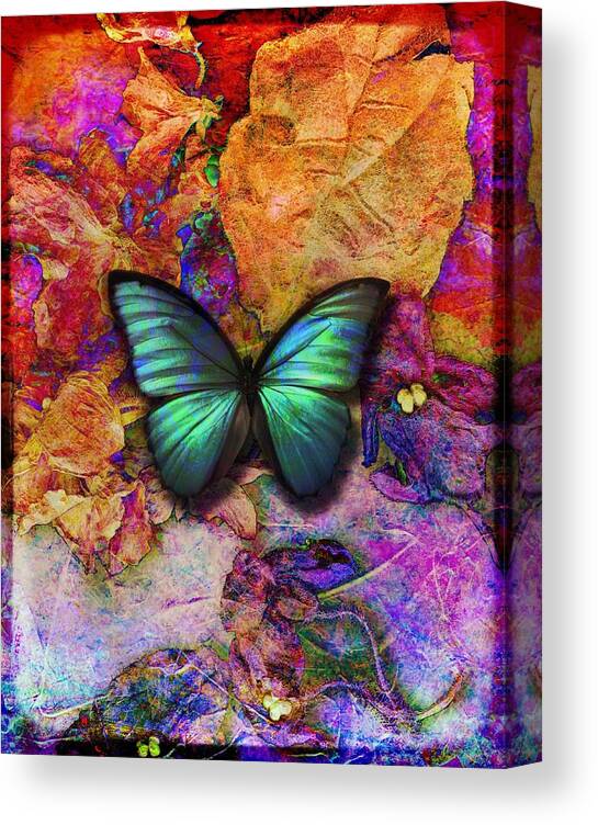 Blue Butterfly Canvas Print featuring the digital art Green butterfly on dry flowers by Lilia S