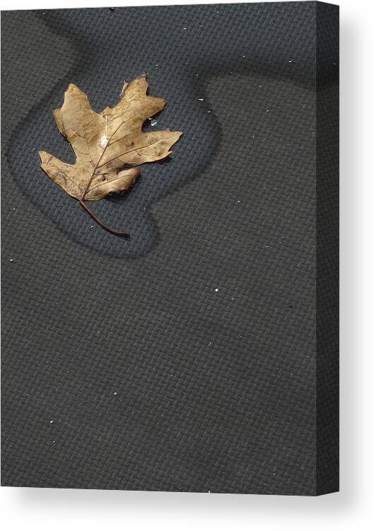 Guy Ricketts Photography Canvas Print featuring the photograph Her Smallest Leaf by Guy Ricketts