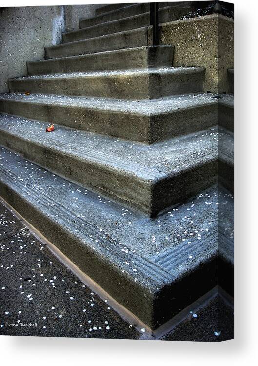 Stairs Canvas Print featuring the photograph Hitting Bottom by Donna Blackhall