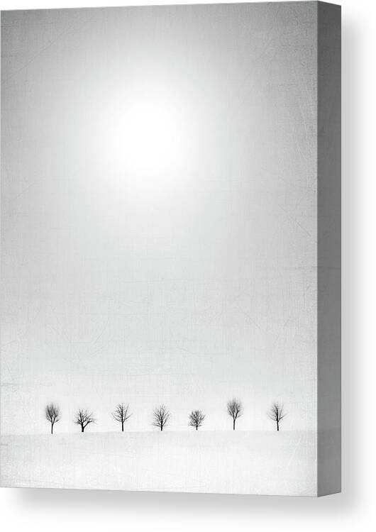 Snow Canvas Print featuring the photograph Horizon by Jeffrey Hummel