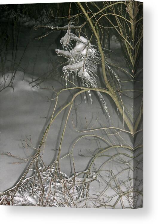Fey Folk Canvas Print featuring the photograph Ice Imp by Azthet Photography