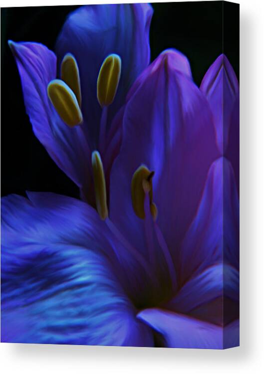 Indigo Canvas Print featuring the photograph Indigo by Barbara St Jean