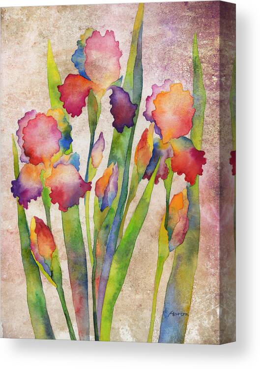 Iris Canvas Print featuring the painting Iris Elegance on Pink by Hailey E Herrera