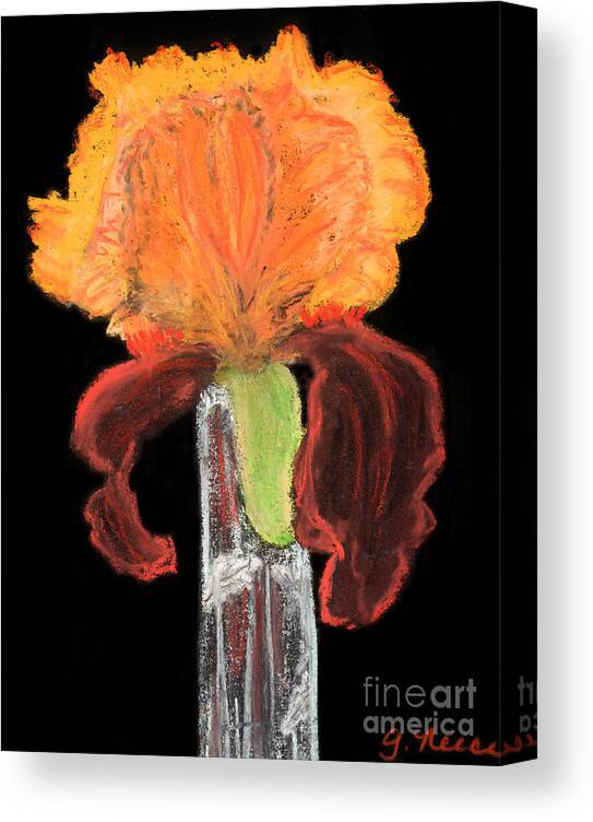Iris Canvas Print featuring the pastel Iris on Black by Ginny Neece