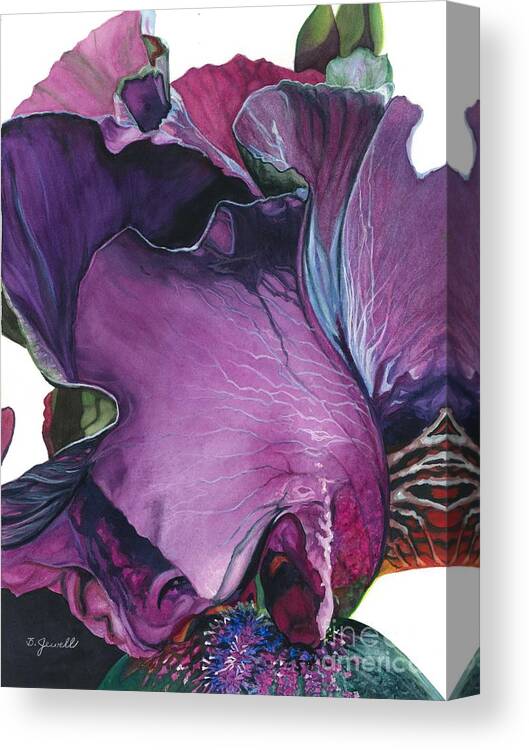 Flower Canvas Print featuring the painting Iris- Unfolding Drama by Barbara Jewell