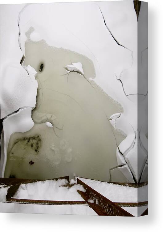 Ice Canvas Print featuring the photograph Jack Frost Nipping at Your Nose by Azthet Photography