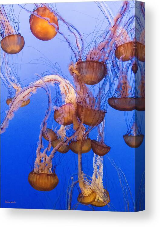 Jellyfish Canvas Print featuring the photograph Jellyfish by Rebecca Samler