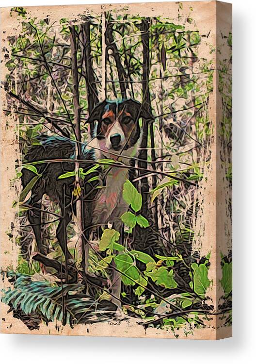Dog Canvas Print featuring the photograph Joy boy by Suzy Norris