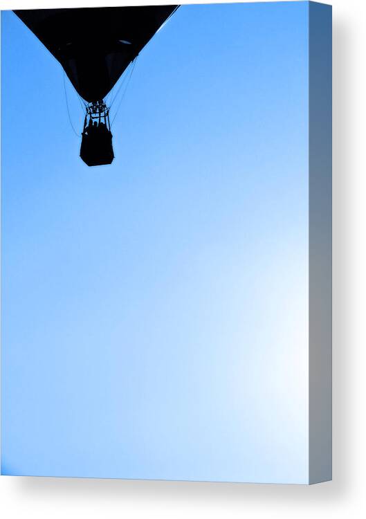 Just Caught This Flight Canvas Print featuring the photograph Just caught this flight by Tracy Winter