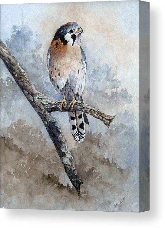 Bird Canvas Print featuring the painting Kestrel Perch by Mary McCullah