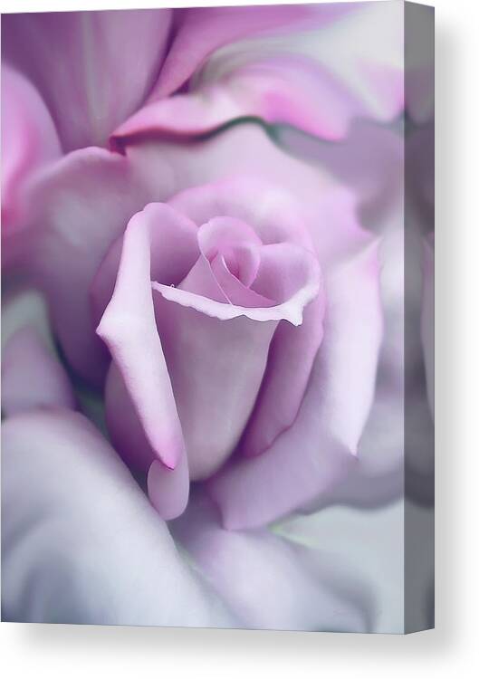 Rose Canvas Print featuring the photograph Lavender Rose Flower Portrait by Jennie Marie Schell