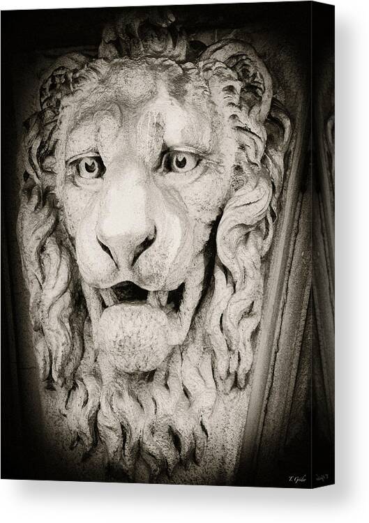 Lion Canvas Print featuring the photograph Leo by Tony Grider