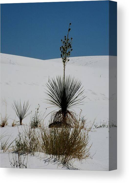 White Sands Canvas Print featuring the photograph Like No Place Else on Earth by Lucinda Walter