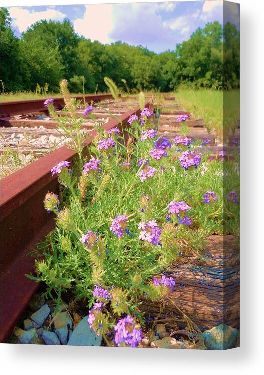 Railroad Canvas Print featuring the photograph Lonesome Railroad #1 by Robert ONeil