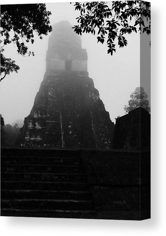 The Ruin Canvas Print featuring the photograph Maya Ruins 2 by Xueling Zou