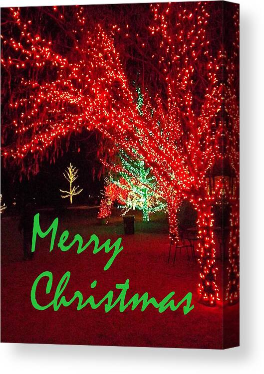 Seasons Greetings Canvas Print featuring the photograph Merry Christmas by Darren Robinson