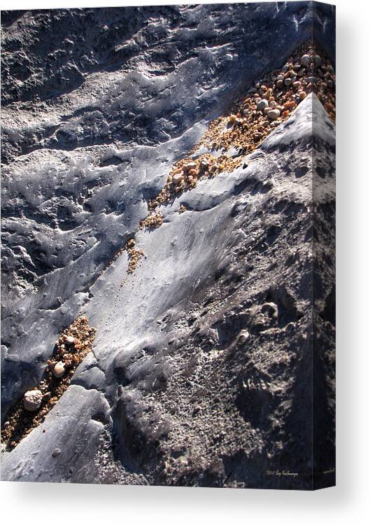 Micro Canvas Print featuring the photograph Micro Rock Slide by Lucy VanSwearingen