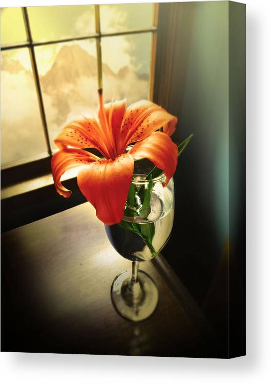 Flowers Canvas Print featuring the photograph Mountain lily by John Anderson