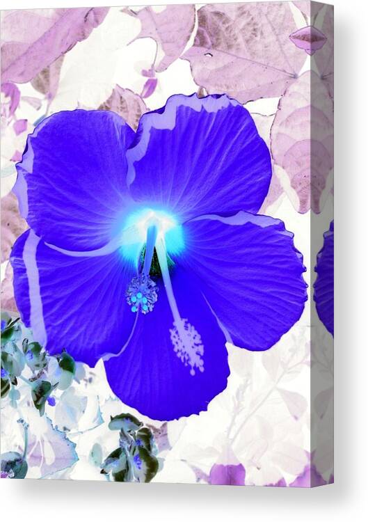 Hibiscus Canvas Print featuring the photograph Mystical Garden - PhotoPower 01 by Pamela Critchlow