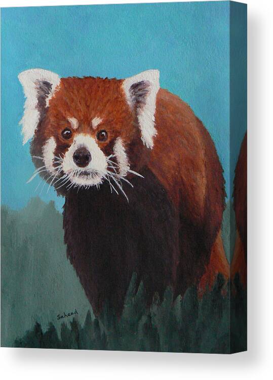 Red Panda Canvas Print featuring the painting Nepalese Forest Dweller by Margaret Saheed