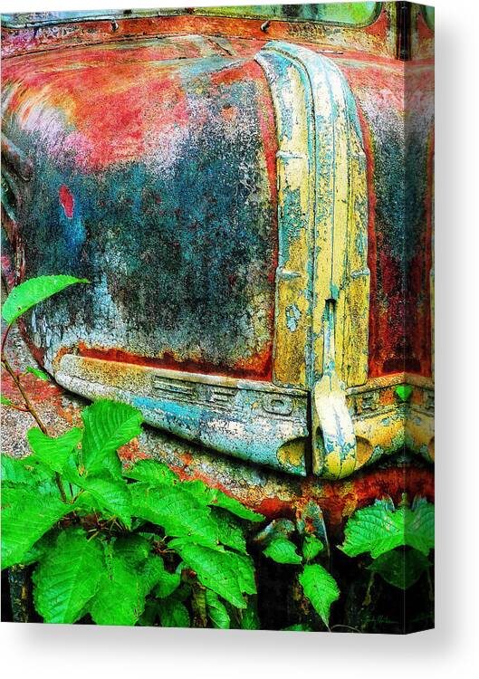 Old Canvas Print featuring the painting Old Ford #1 by Sandy MacGowan