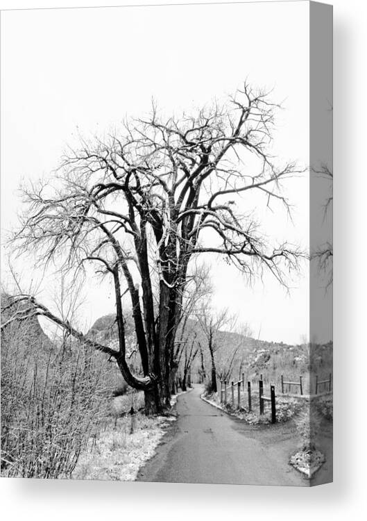 New Mexico Canvas Print featuring the photograph Old Man by Atom Crawford