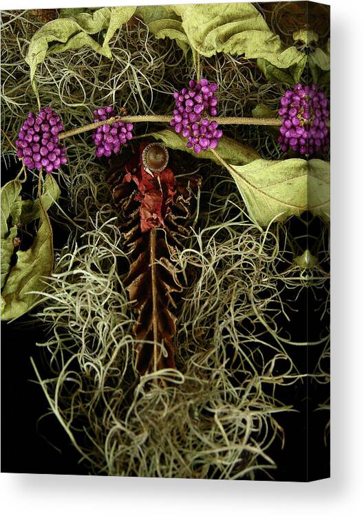 Photography Canvas Print featuring the photograph Organic Assemblage by Julianne Felton