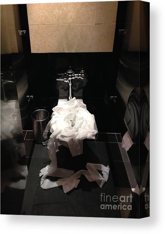Toilet Canvas Print featuring the photograph Overkill by Deena Withycombe