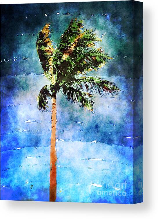 Palm Tree Canvas Print featuring the photograph Palm Tree In A Tropical Storm by Phil Perkins