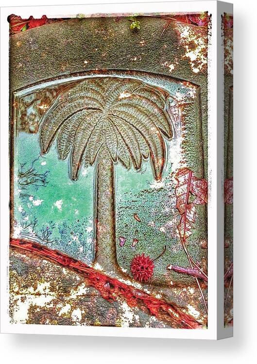 Palm Tree Canvas Print featuring the photograph Palm Tree by Patricia Greer