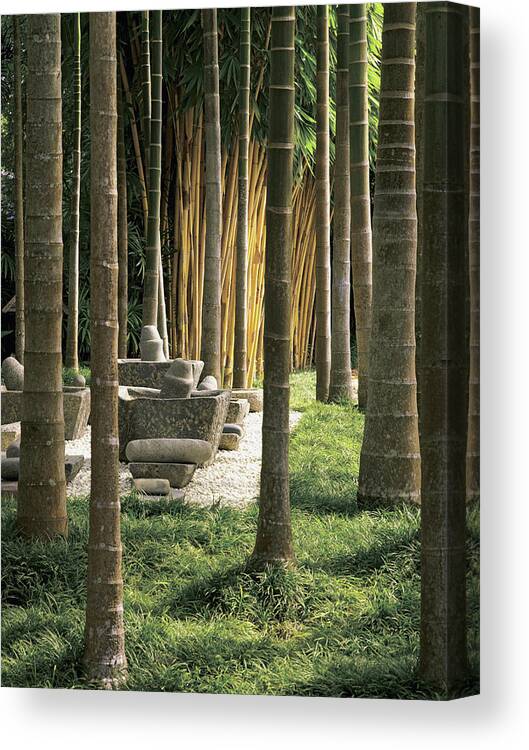 No People Canvas Print featuring the photograph Palm Trees With Mortar And Pestles In Garden by Robert McLeod
