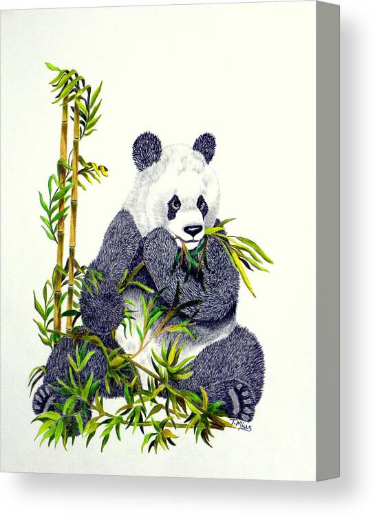 Panda Canvas Print featuring the drawing Panda by Terri Mills