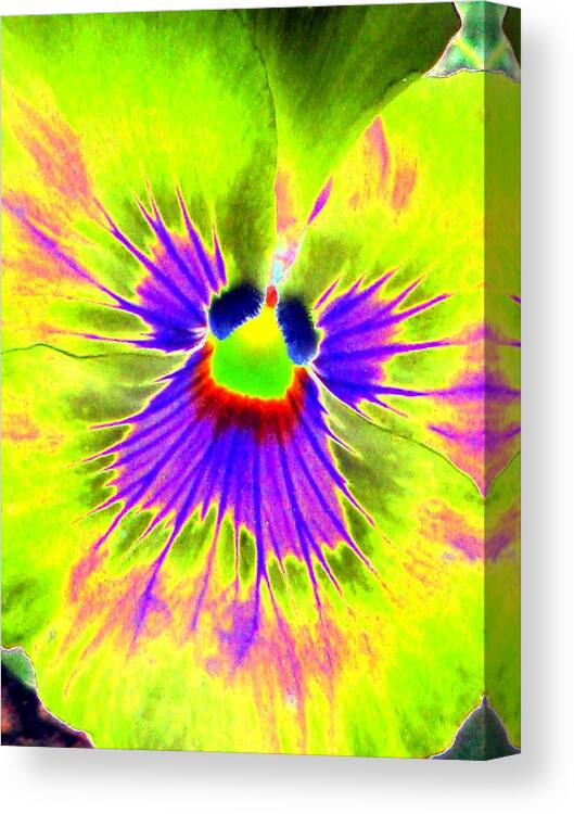 Pansy Canvas Print featuring the photograph Pansy Power 59 by Pamela Critchlow