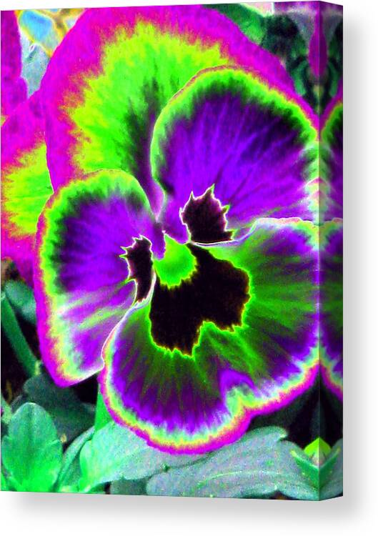 Pansy Canvas Print featuring the photograph Pansy Power 61 by Pamela Critchlow