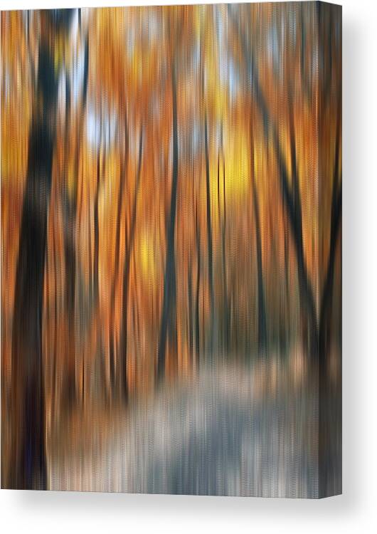 Autumn Canvas Print featuring the photograph Peaceful Path by Susan Candelario