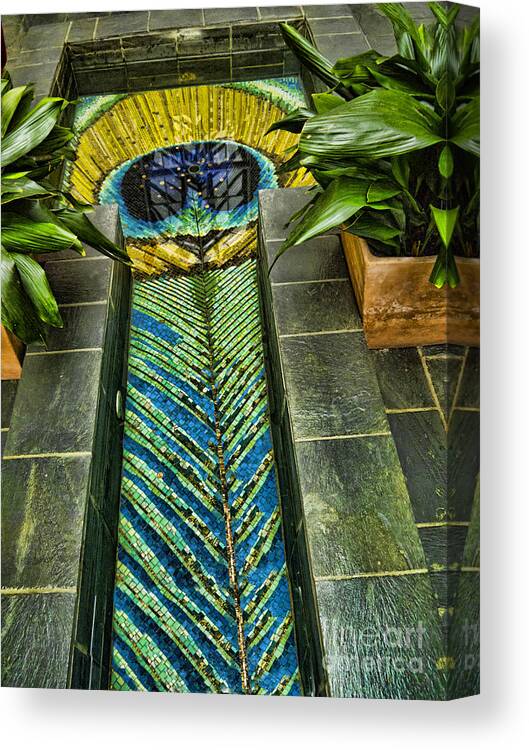 Dublin Canvas Print featuring the photograph Peacock feather pool by Brenda Kean